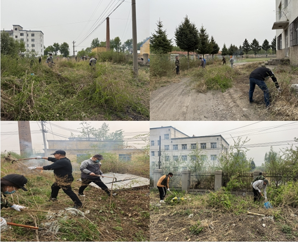 25051601.fw.png